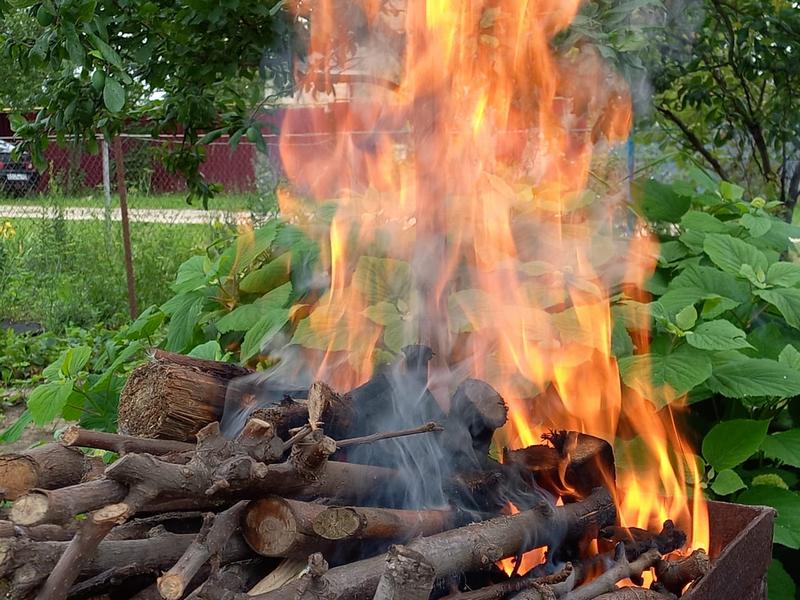 На территории одной из лесополос Воронежа случился пожар