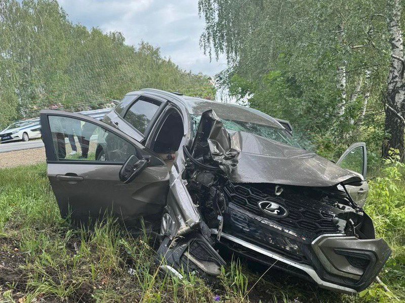 На воронежской трассе «Лада» влетела в дерево