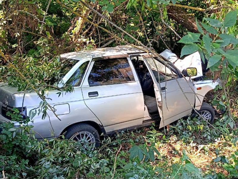 Погиб, врезавшись в дерево