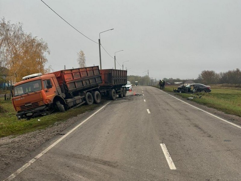 В Воронежской области произошло 77 ДТП за сутки