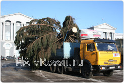 Праздничное дерево прибыло на главную площадь Курска.