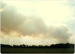 Из-за лесного пожара в Лисках над городом 2 дня висело облако дыма