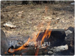 Разжигать костры и готовить шашлыки в лесных массивах на территории Воронежской области этим летом строго запрещено