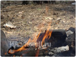 Излюбленный горожанами отдых на природе может привести к возникновению новых лесных пожаров