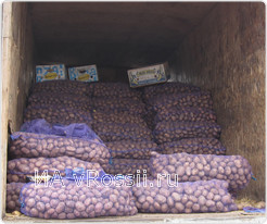 Продавцы часто выдают привозной картофель за местный