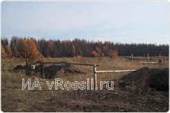 Скотомогильник  в Богучарском районе опасен для экологии и здоровья жителей