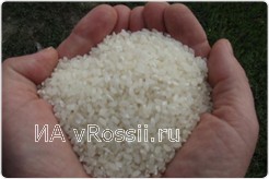 В Воронеж завезли рис без карантинного сертификата