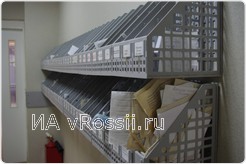 <em>В нашей стране смертность от инсульта - одна из самых высоких на планете</em>
