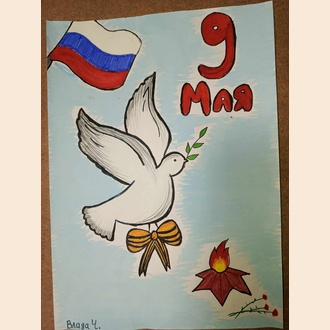 Голубь Мира