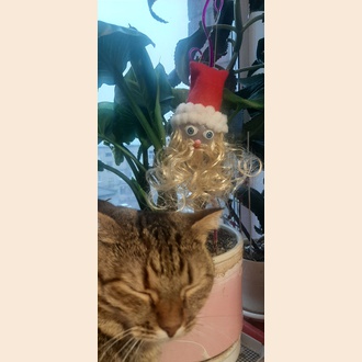 Дедушка мороз