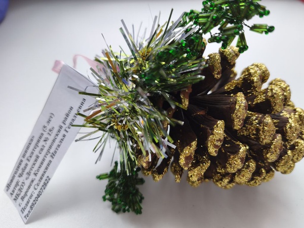 "Новогодняя шишка"