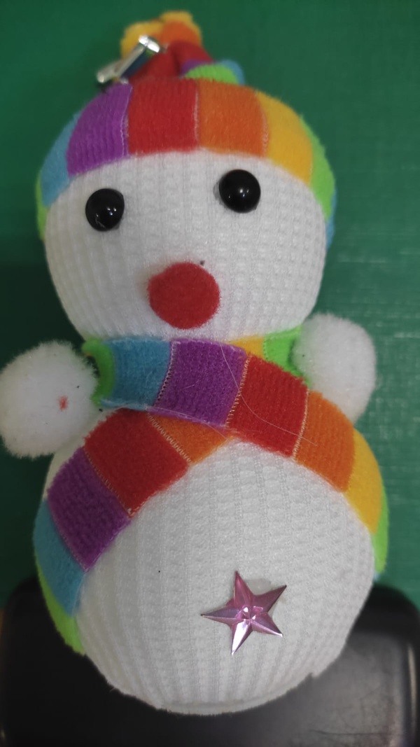 "Зимний гость"