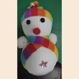 "Зимний гость"