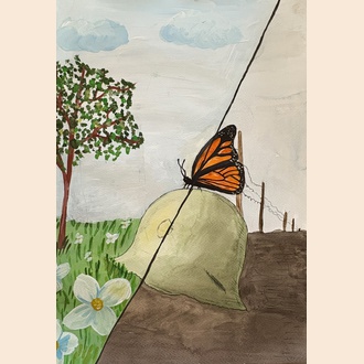 Крылья свободы