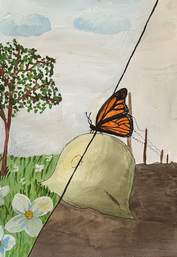 Крылья свободы