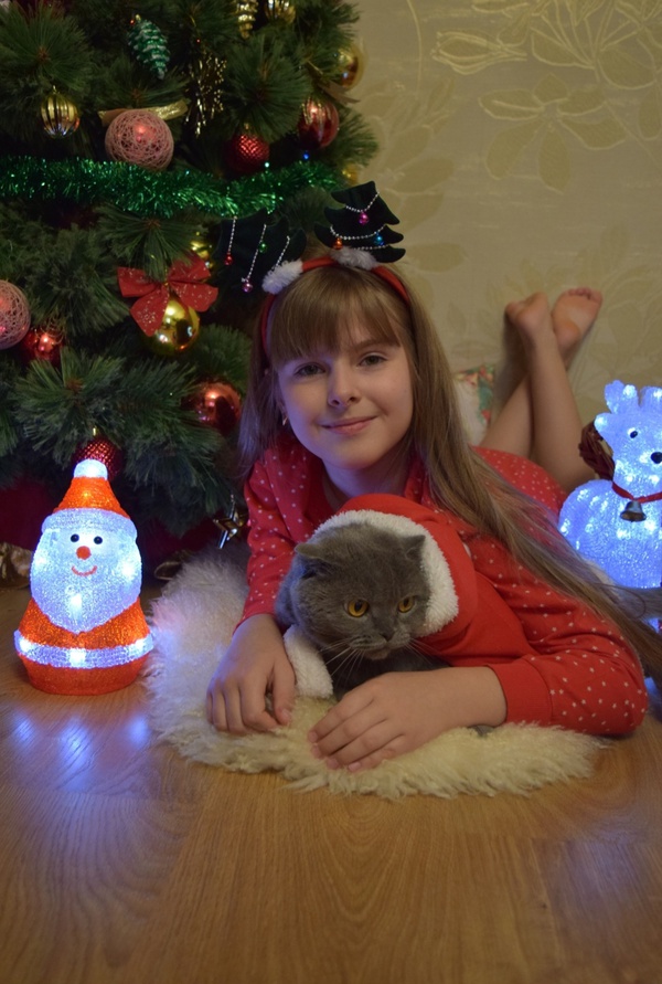 В ожидании новогоднего волшебства