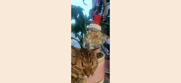 Дедушка мороз