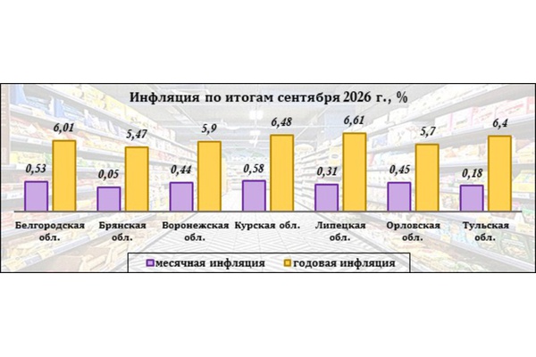 Как в ЦФО изменились цены на товары и услуги